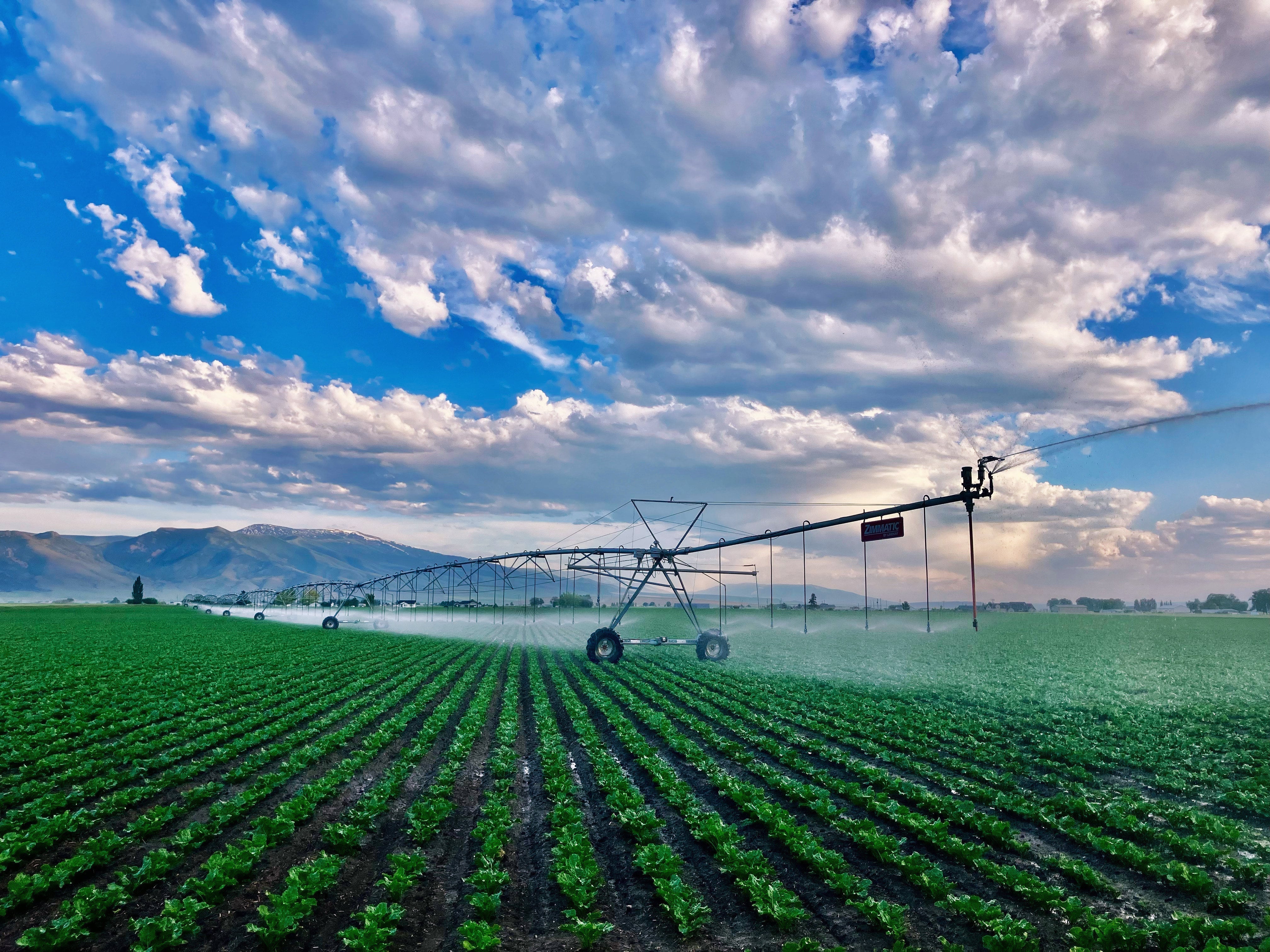 irrigator in farm field