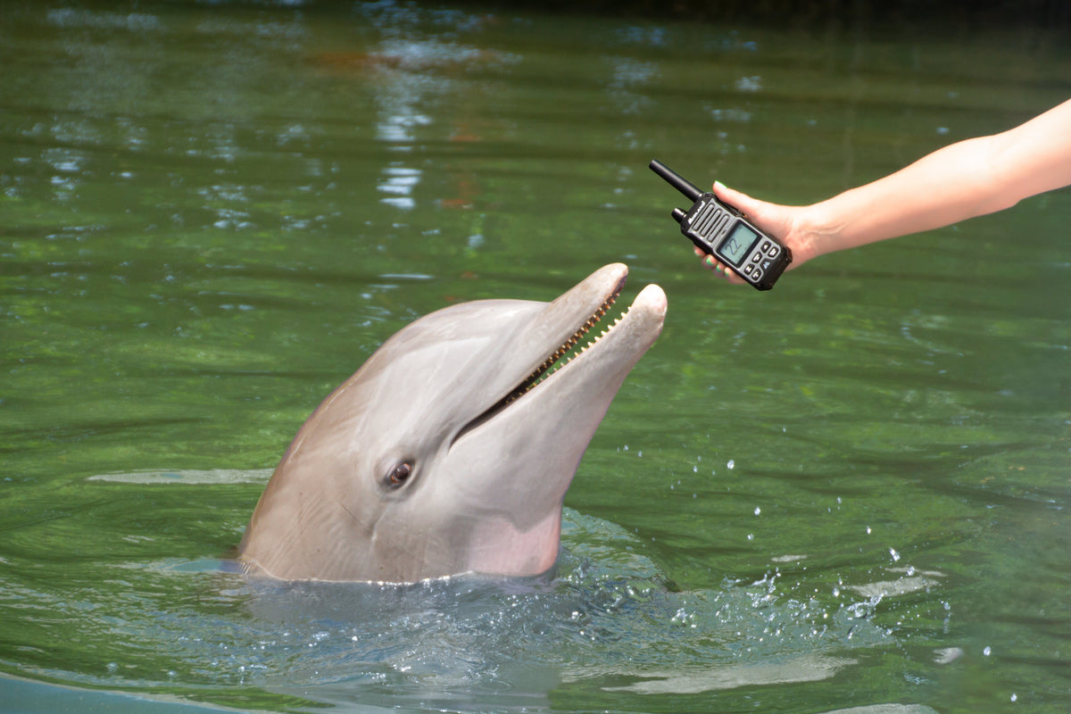 Midland Provides GMRS Handhelds to Dolphin Research Center