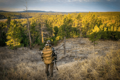 hunter overlooking forest