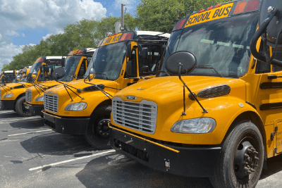 school buses lined up