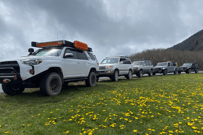 overlanding vehicles lined up in grass