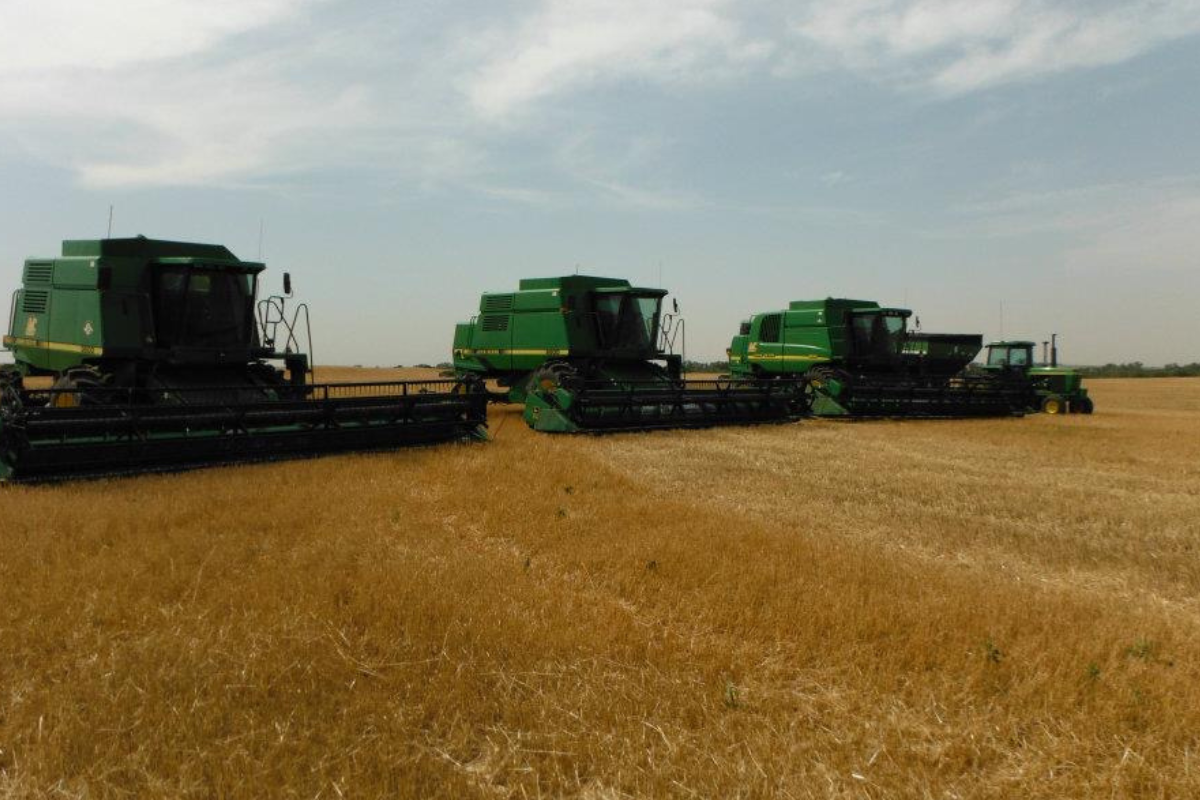 tractors in field