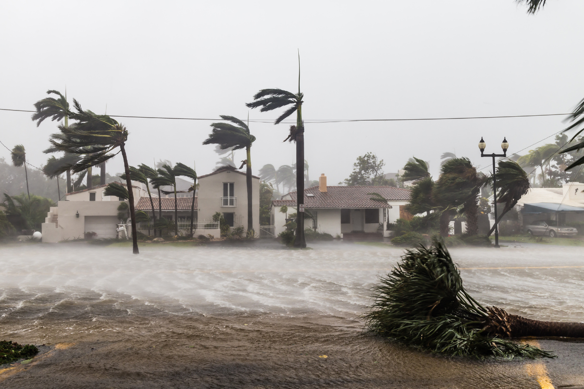hurricane preparedness