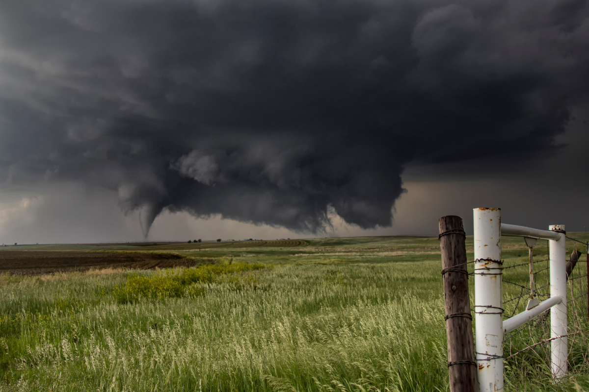 tornado touches down in field