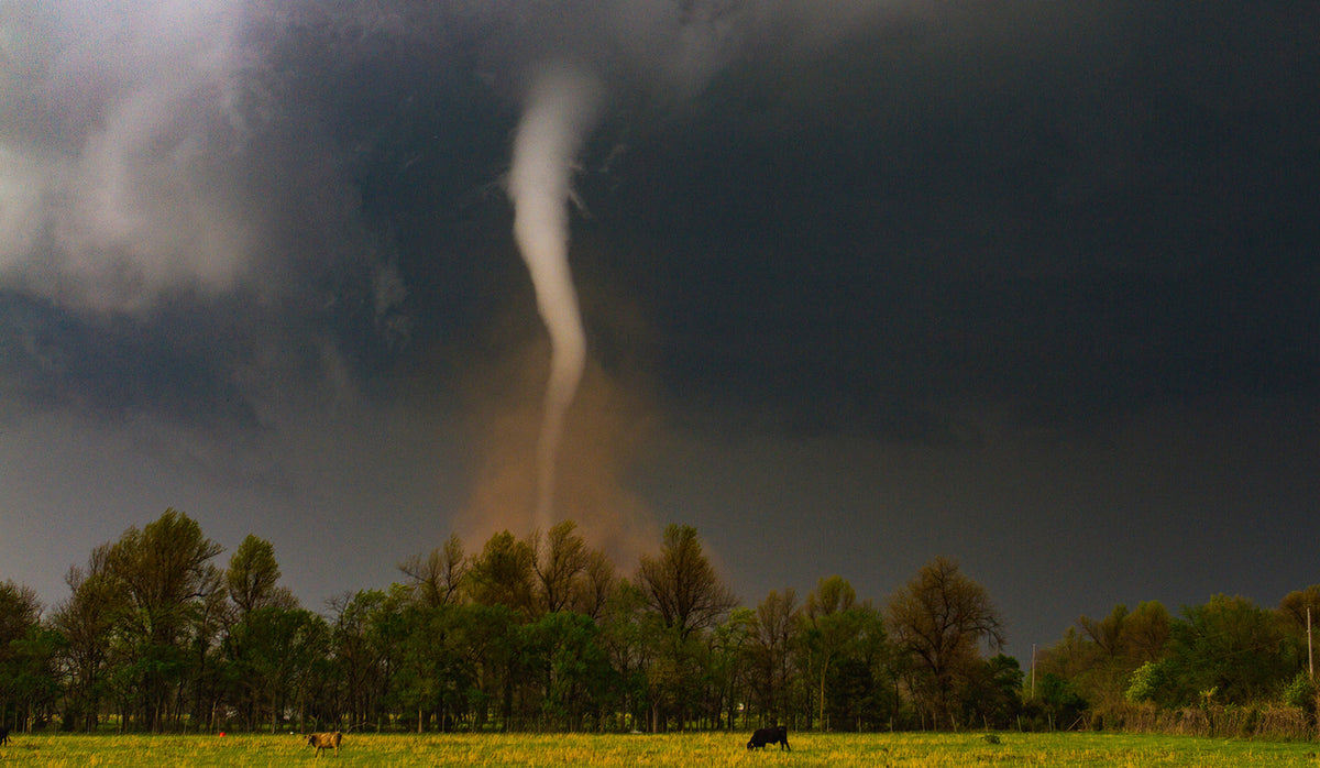tornado touching down in field