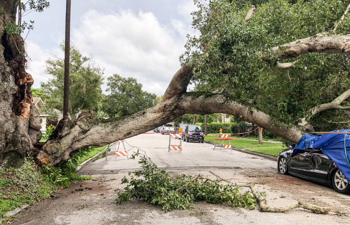 hurricane damage