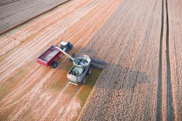 tractors in field