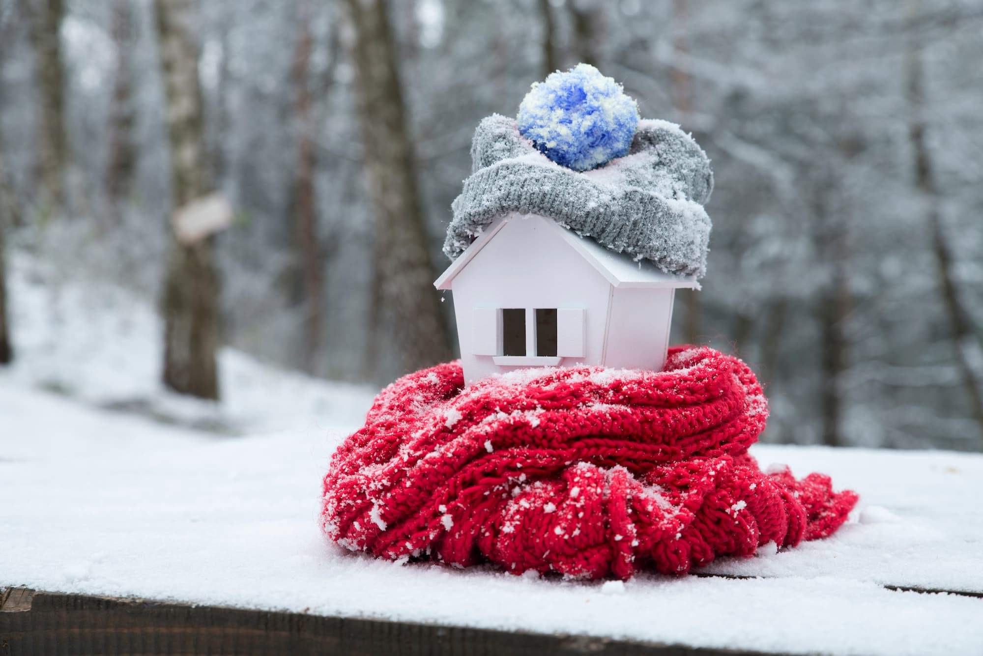 snow and home 