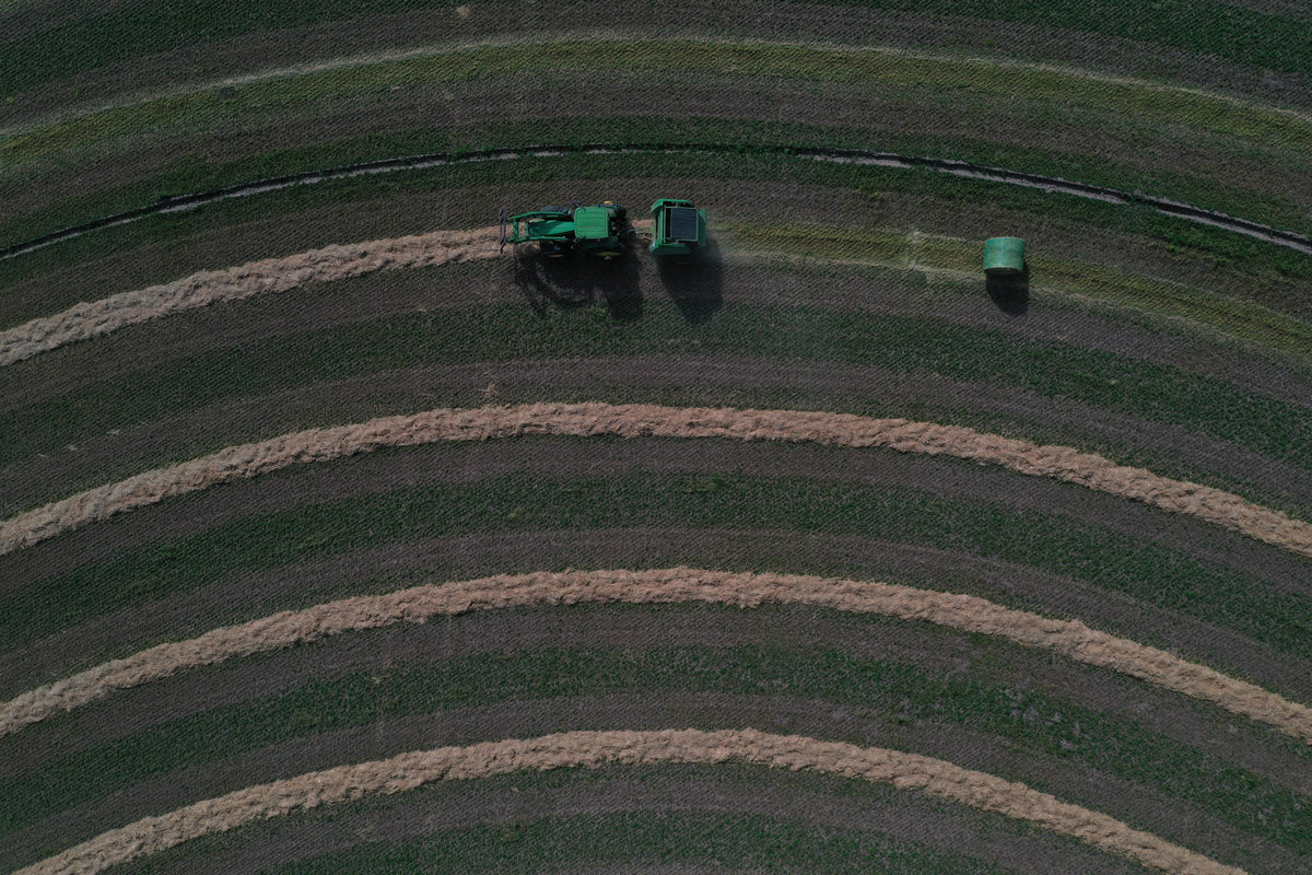drone shot of farm field