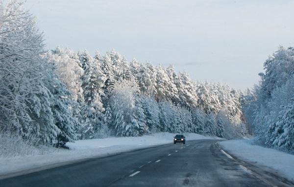 snowy road with trees