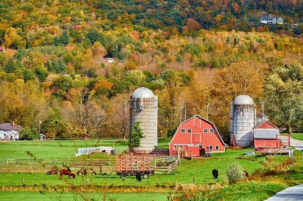 farm