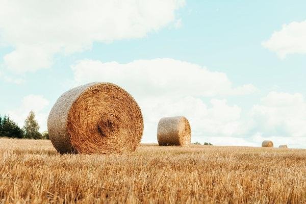 The Best Two-Way Radio Antennas for Harvest