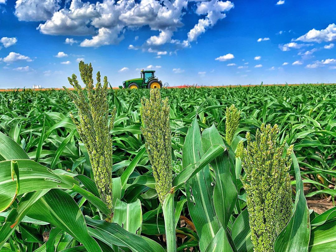 15 Farming Instagrams to Celebrate National Farmer's Day