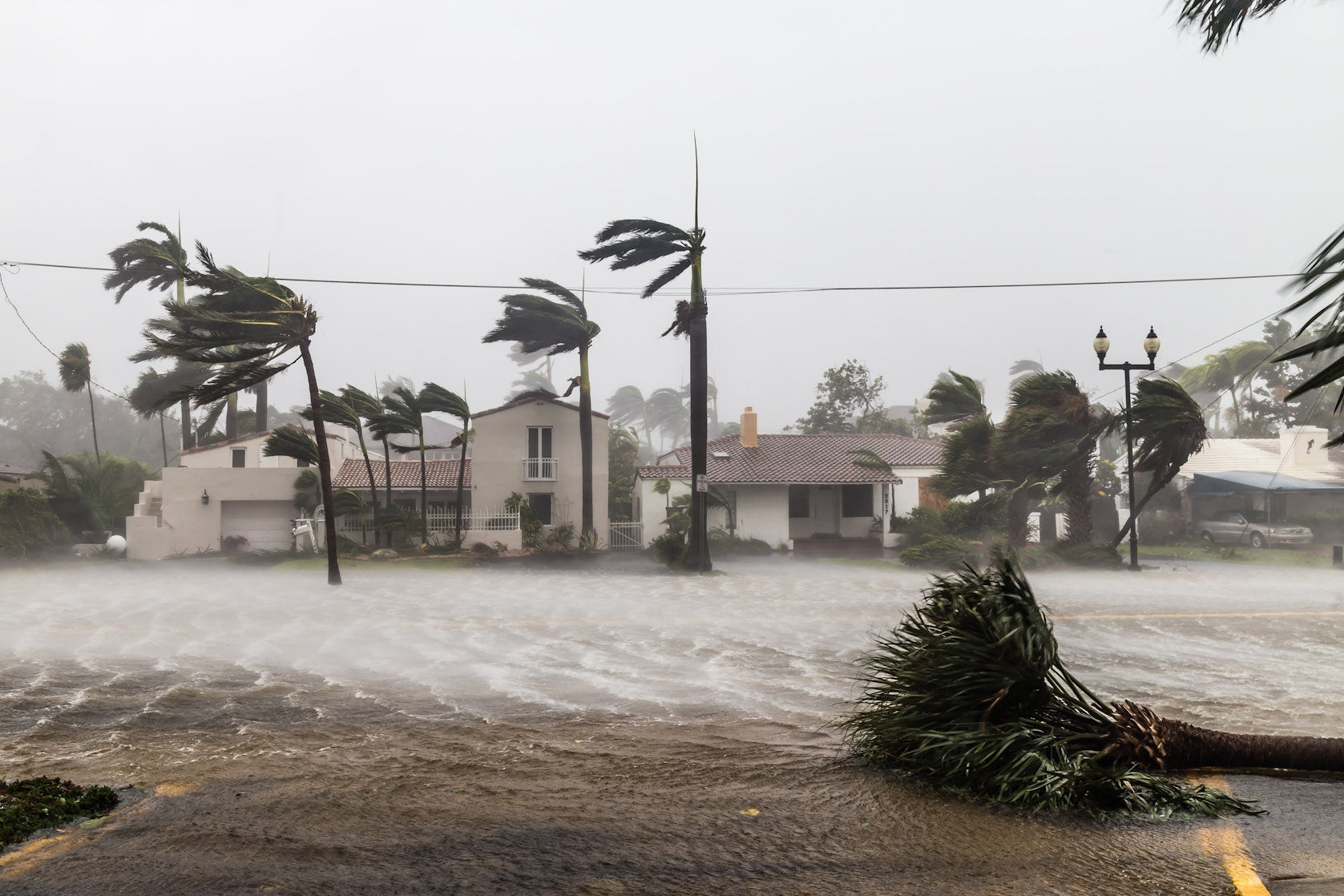 photo of storm