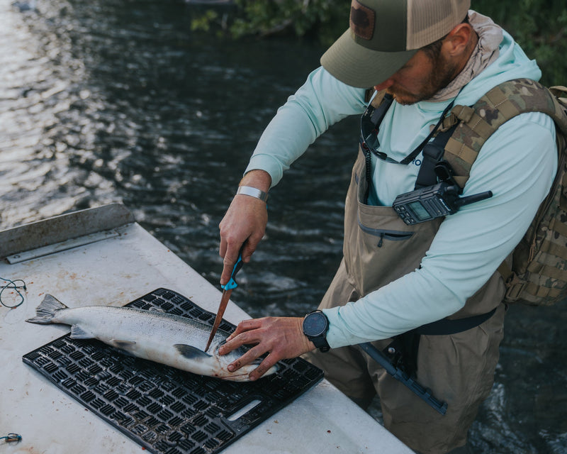 man cuts fish near water