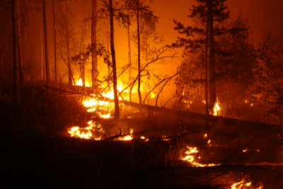 wildfire burns