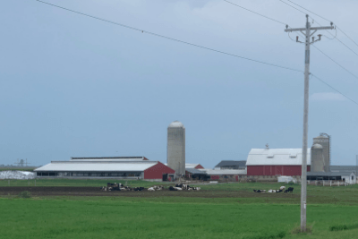 picture of dairy farm