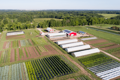 aerial shot of farm
