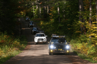 vehicles drive on trail in wooded forest