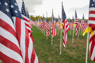 American flags in field