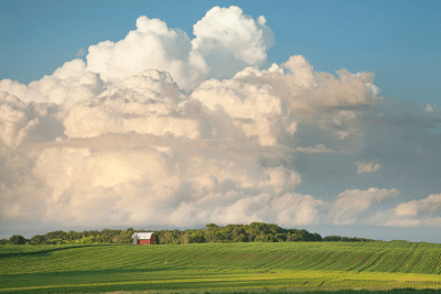 farm field