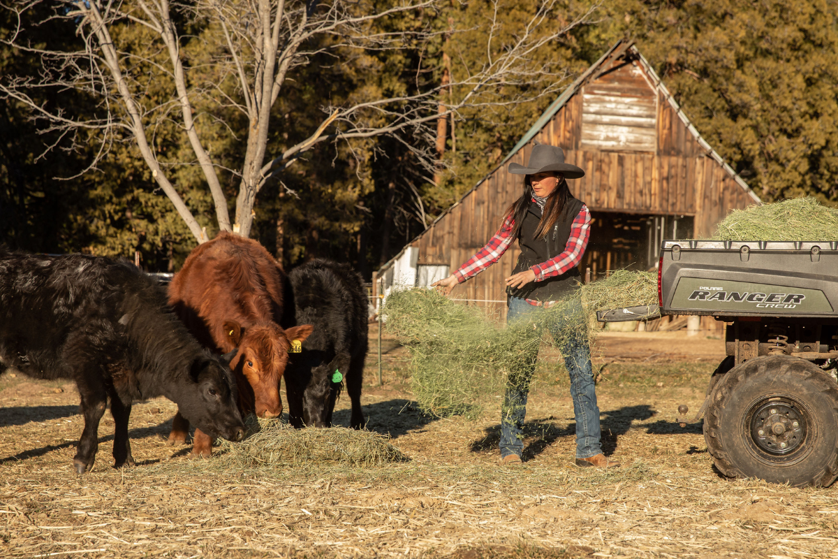 woman on cattle farm