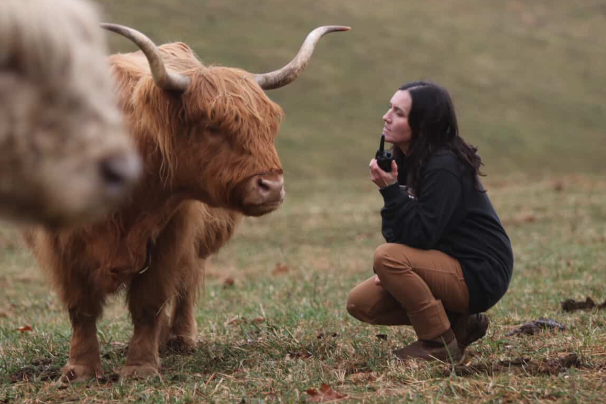 farmer with calves and GXT3000 GMRS Walkie Talkie