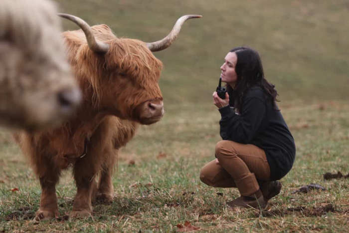 farmer with calves and GXT3000 GMRS Walkie Talkie