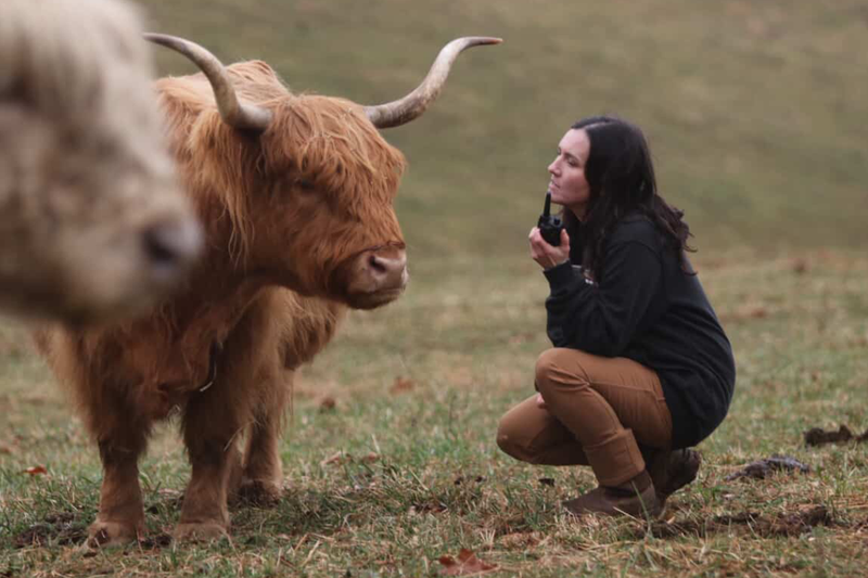 farmer with calves and GXT3000 GMRS Walkie Talkie