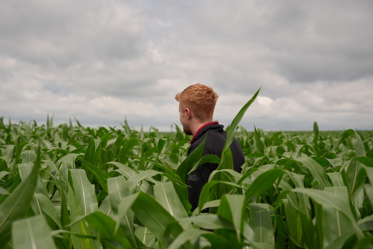 farmer stands in field of corn