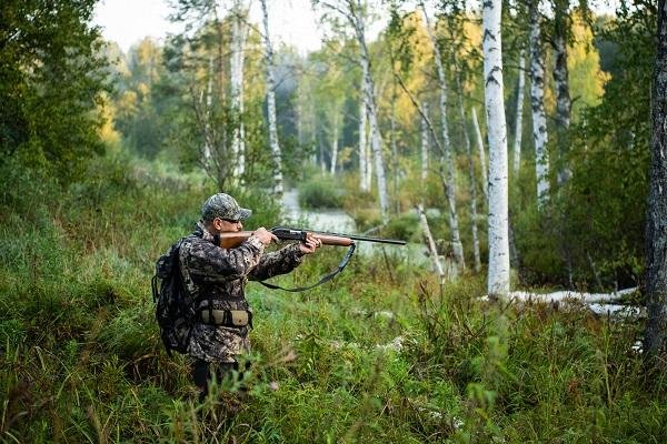 hunter in woods