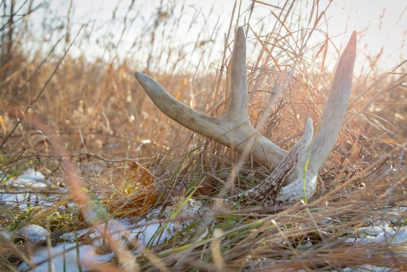 16 of the Best Shed Hunting Instagrams to Follow this Fall